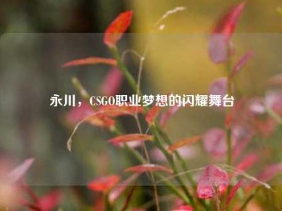 永川，CSGO职业梦想的闪耀舞台