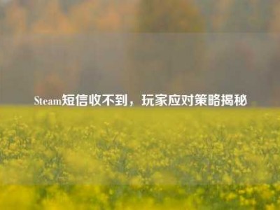 Steam短信收不到，玩家应对策略揭秘