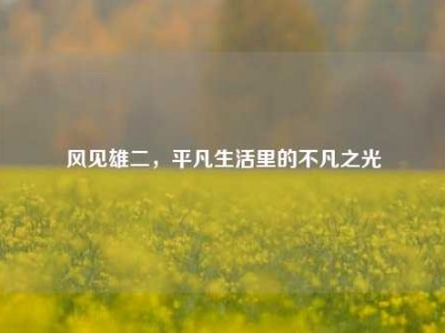 风见雄二，平凡生活里的不凡之光