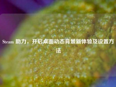 Steam 助力，开启桌面动态背景新体验及设置方法