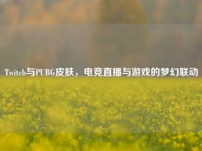 Twitch与PUBG皮肤，电竞直播与游戏的梦幻联动