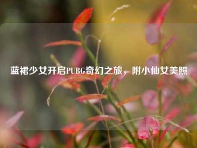 蓝裙少女开启PUBG奇幻之旅，附小仙女美照