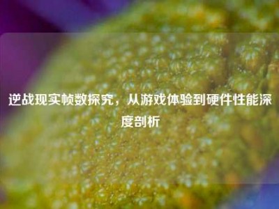 逆战现实帧数探究，从游戏体验到硬件性能深度剖析