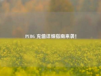 PUBG 充值详细指南来袭！