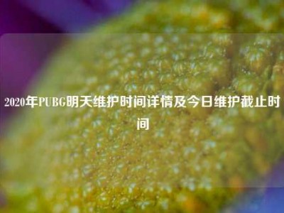 2020年PUBG明天维护时间详情及今日维护截止时间