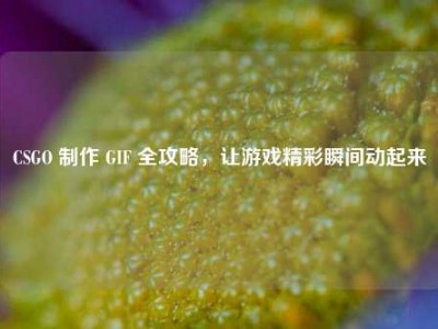 CSGO 制作 GIF 全攻略，让游戏精彩瞬间动起来