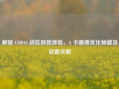 解锁 COD16 战区极致体验，A 卡画质优化秘籍及设置攻略