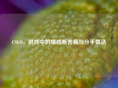 CSGO，游戏中的情感断舍离与分手情话