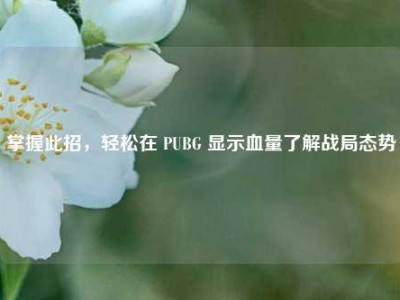 掌握此招，轻松在 PUBG 显示血量了解战局态势