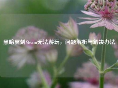 黑暗冥刻Steam无法游玩，问题解析与解决办法