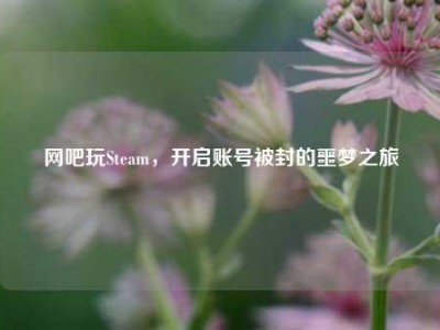 网吧玩Steam，开启账号被封的噩梦之旅