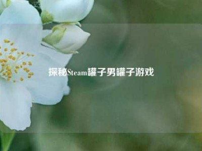 探秘Steam罐子男罐子游戏