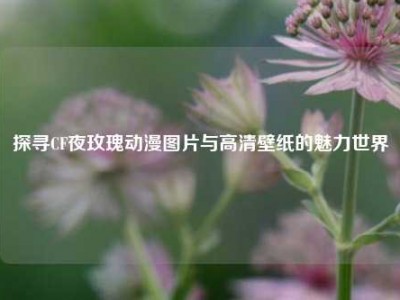 探寻CF夜玫瑰动漫图片与高清壁纸的魅力世界