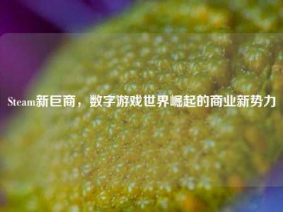 Steam新巨商，数字游戏世界崛起的商业新势力