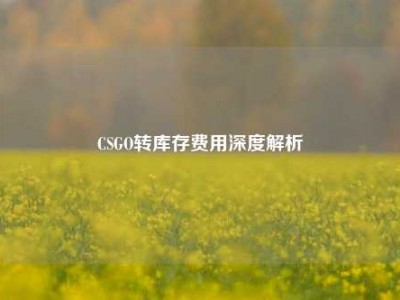 CSGO转库存费用深度解析