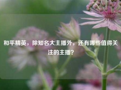 和平精英，除知名大主播外，还有哪些值得关注的主播？
