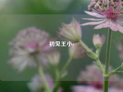 初见王小y
