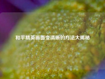 和平精英画面变清晰的方法大揭秘