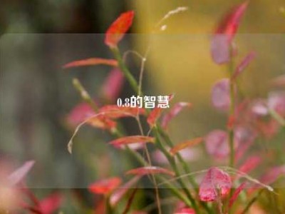0.8的智慧