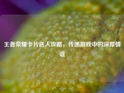 王者荣耀卡片送人攻略，传递游戏中的深厚情谊
