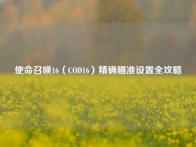 使命召唤16（COD16）精确瞄准设置全攻略