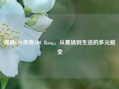 揭秘LOL传奇ADC Bang，从赛场到生活的多元蜕变