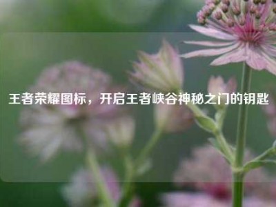 王者荣耀图标，开启王者峡谷神秘之门的钥匙