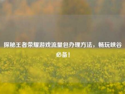 探秘王者荣耀游戏流量包办理方法，畅玩峡谷必备！