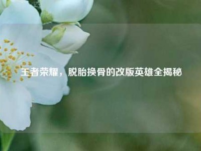 王者荣耀，脱胎换骨的改版英雄全揭秘