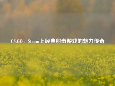CS:GO，Steam上经典射击游戏的魅力传奇