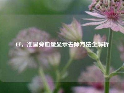 CF，准星旁血量显示去除方法全解析