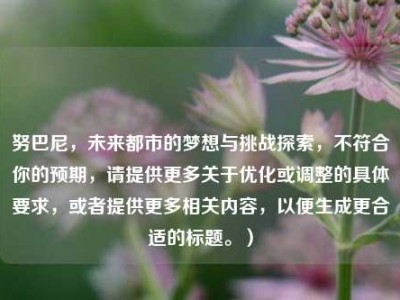 努巴尼，未来都市的梦想与挑战探索，不符合你的预期，请提供更多关于优化或调整的具体要求，或者提供更多相关内容，以便生成更合适的标题。）