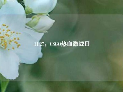 11.27，CSGO热血激战日