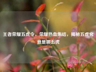 王者荣耀五虎令，荣耀热血集结，揭秘五虎究竟是哪五虎