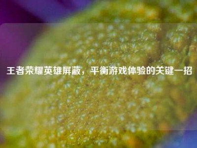 王者荣耀英雄屏蔽，平衡游戏体验的关键一招