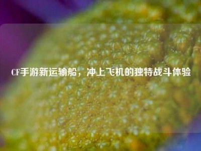 CF手游新运输船，冲上飞机的独特战斗体验