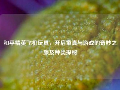 和平精英飞机玩具，开启童真与游戏的奇妙之旅及种类探秘