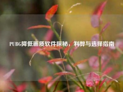 PUBG降低画质软件探秘，利弊与选择指南