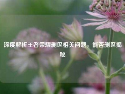 深度解析王者荣耀删区相关问题，能否删区揭秘