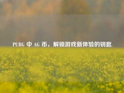 PUBG 中 AG 币，解锁游戏新体验的钥匙