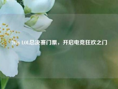 2016 LOL总决赛门票，开启电竞狂欢之门