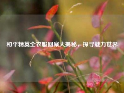 和平精英全衣服图案大揭秘，探寻魅力世界