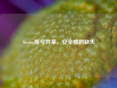 Steam账号共享，安全感的缺失