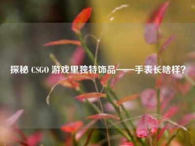 探秘 CSGO 游戏里独特饰品——手表长啥样？
