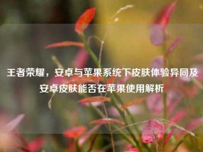 王者荣耀，安卓与苹果系统下皮肤体验异同及安卓皮肤能否在苹果使用解析