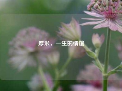 厚米，一生的情谊