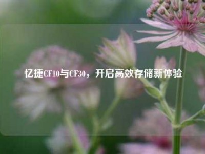 忆捷CF10与CF30，开启高效存储新体验