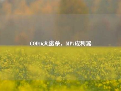 COD16大逃杀，MP7成利器