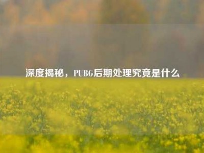 深度揭秘，PUBG后期处理究竟是什么