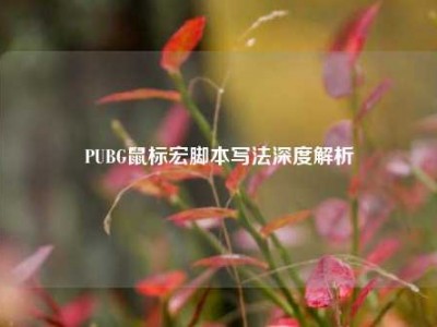 PUBG鼠标宏脚本写法深度解析